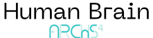 ARCHS4 Logo